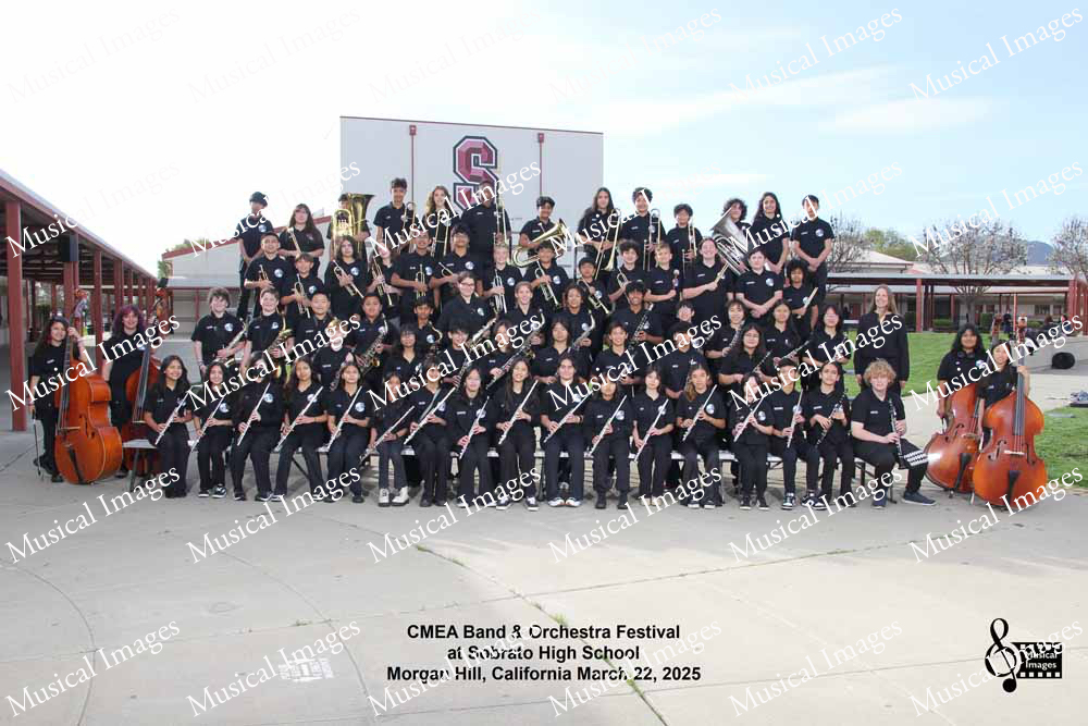 Musical Images